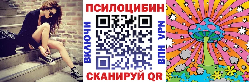 Галлюциногенные грибы Psilocybe  Орск 